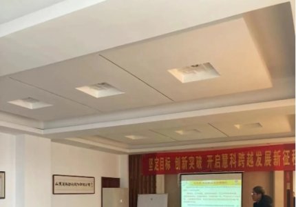 公司聘請金藍(lán)盟項(xiàng)目組進(jìn)行咨詢和培訓(xùn)